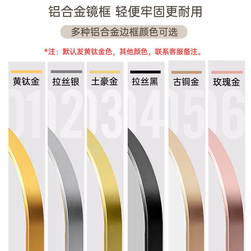 新款直销珍涵外贸带框全身镜子装饰镜试衣间镜衣帽间挂墙式发光智