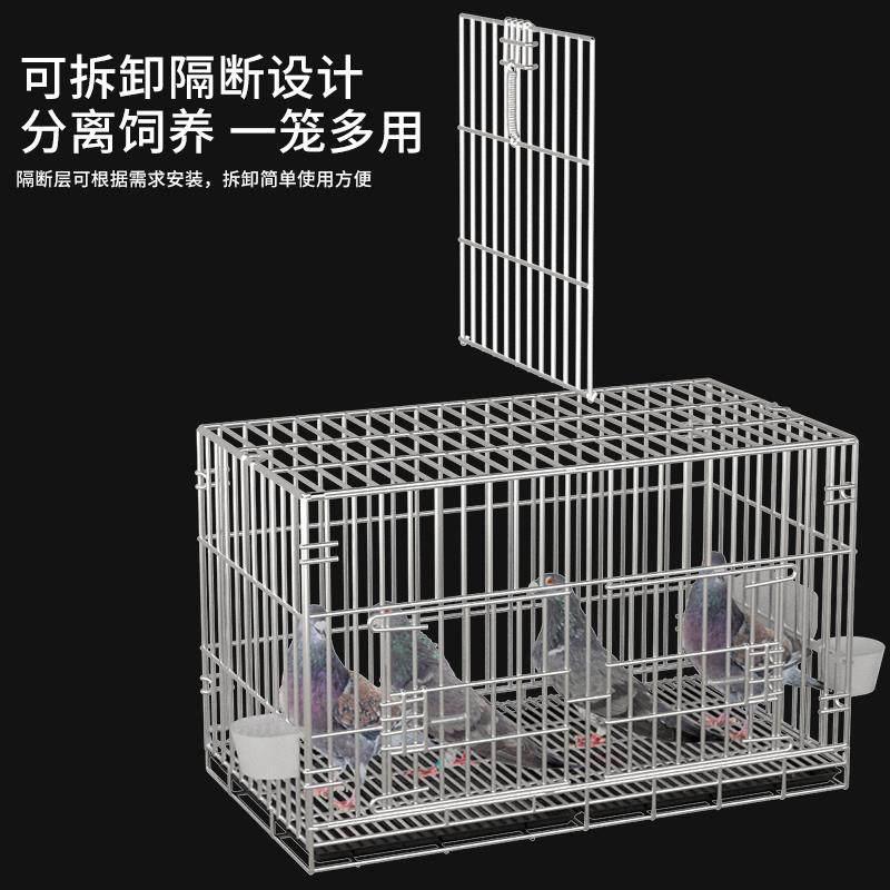 养鸽子专用笼新型鸽子笼家用笼子配对笼养殖笼不锈钢鸡笼特大鸟笼图片