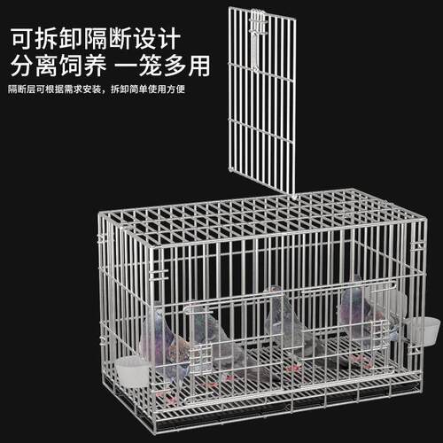 养鸽子专用笼新型鸽子笼家用笼子配对笼养殖笼不锈钢鸡笼特大鸟笼