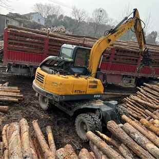 防汛木桩松木桩 河道打桩松木桩建筑河道坡工程防洪杉木桩