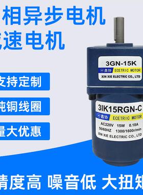 3IK15RGN交流减速电机220V15W单相异步电动机调速电机微型小马达