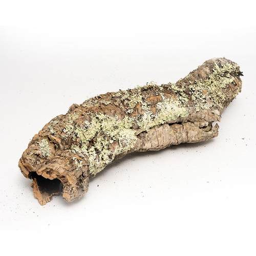 葡萄牙软木香槟树皮爬宠天然树洞躲避鱼缸雨淋缸造景树皮