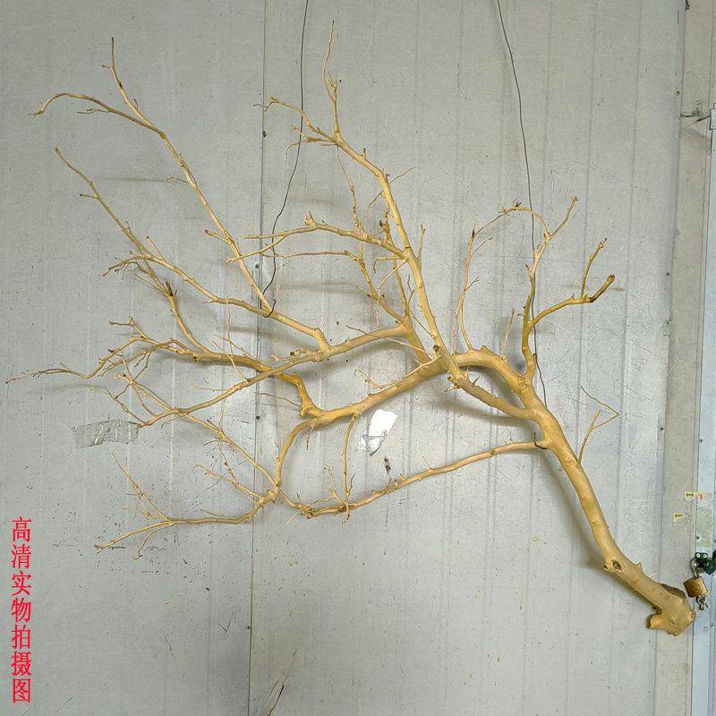 干树枝去皮树干枝壁挂装饰枯枝酒店造景饭厅树枝挂灯花艺婚庆摆件