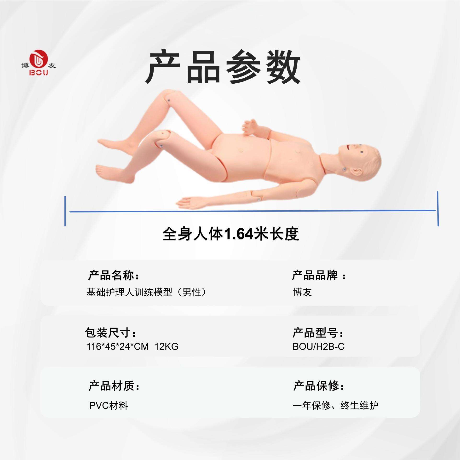 博友组合式多功能护理实习模拟人(男)成人护理模型