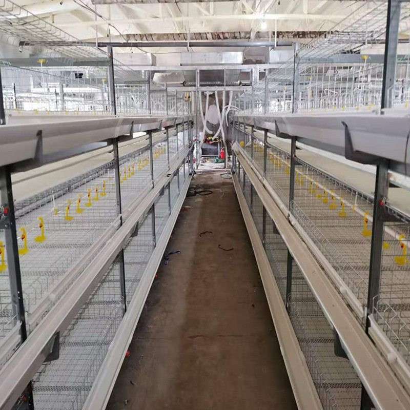 景辉框架蛋鸡笼养鸡设备小层叠笼自动清粪系统镀锌鸡笼鸡用机械