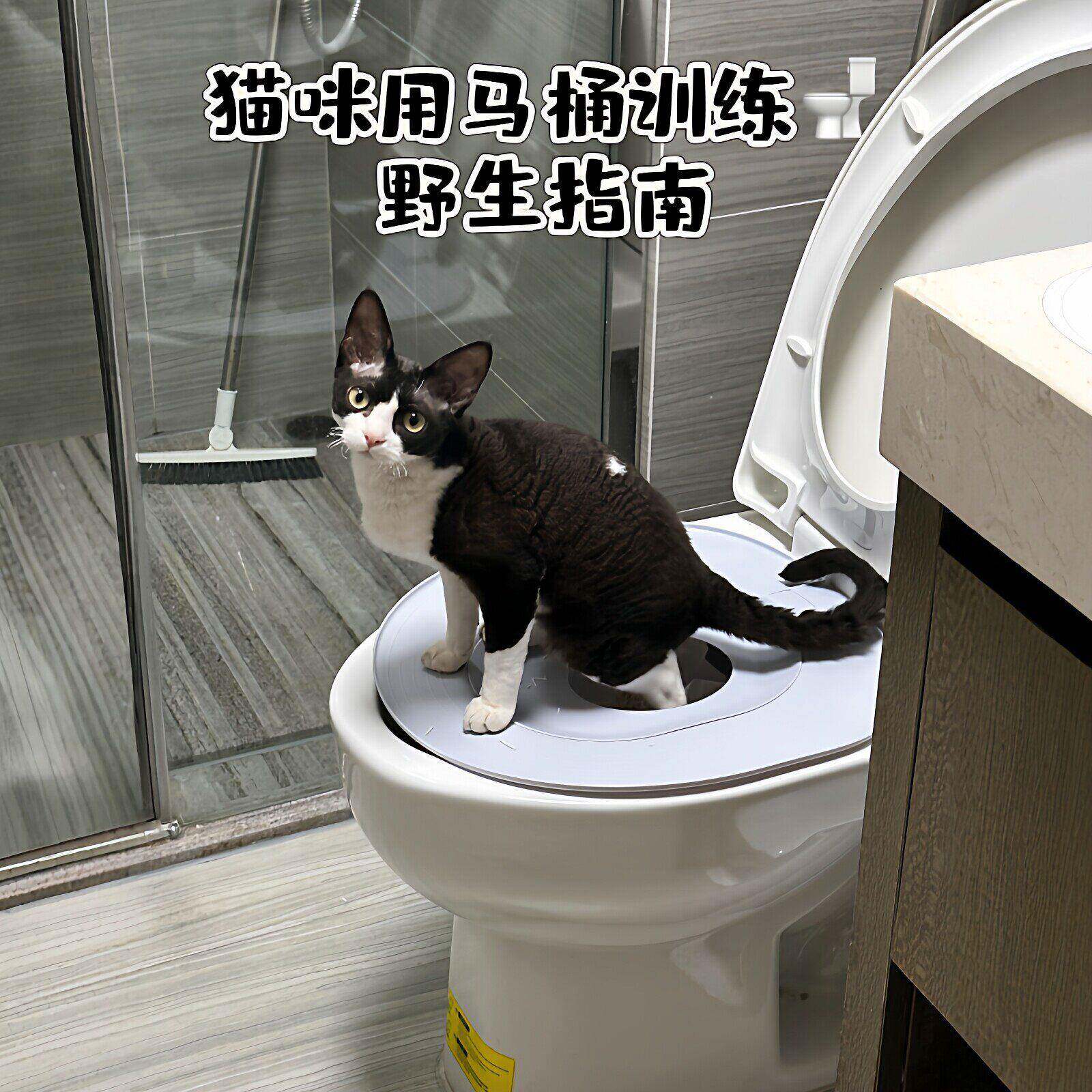 告别猫砂盆!猫咪马桶训练器环保易清洗防外溅款宠物坐便器引导垫