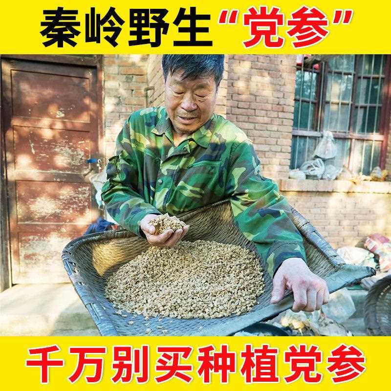 野生党参正品非特级包邮党参段搭当归黄芪枸杞红枣组合泡茶煲汤