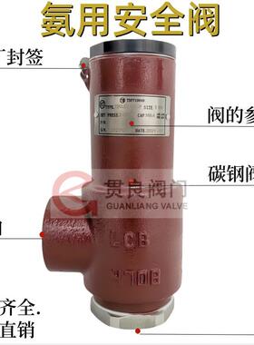 安全阀BTA/SFA-12C300C 工业冷冻机中央空调12EH16FNCF安全阀DN20