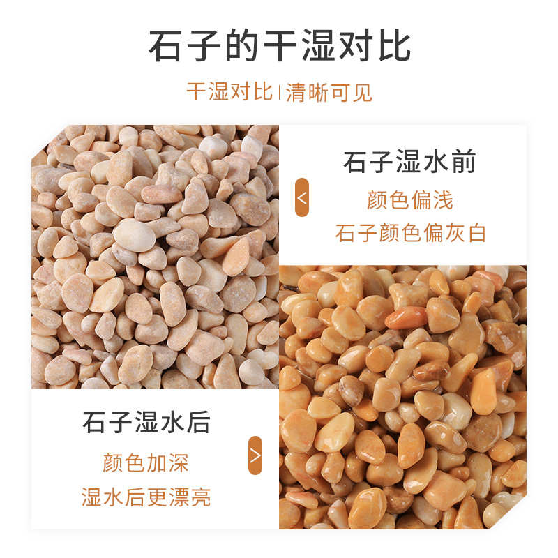 天然砾石黄色石子水洗磨石地面专用枯山水造景铺路胶粘石鹅卵石
