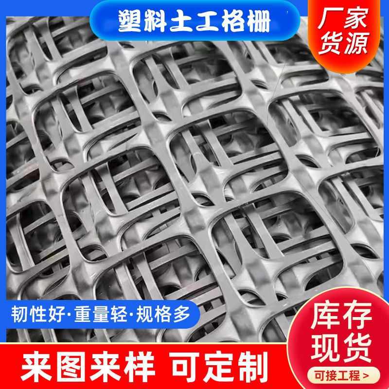 新塑料网格养殖网土工格栅果园鱼塘防护网圈地网漏粪网鸡鸭围栏网