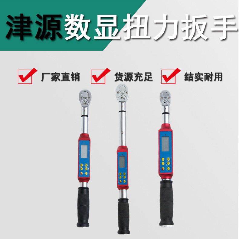 上海儒法数显扭矩扳手套筒可换头开口梅花棘轮头扭力扳手MDS-100