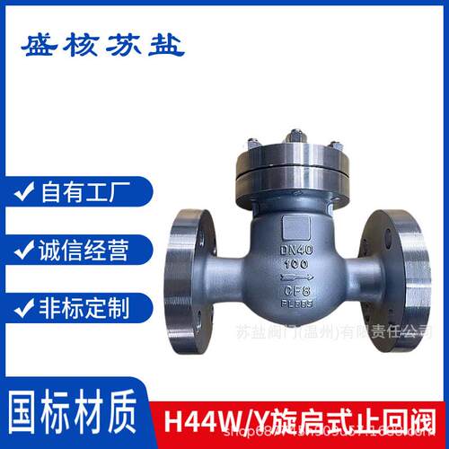 H44W/Y-16P国标04不锈钢16耐腐蚀旋启式法兰止回阀逆止阀单向阀