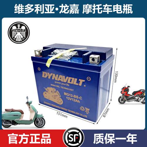 龙嘉摩托车猛狮原厂电瓶维多利亚150si 250 vmax300 v途v咖蓄电池