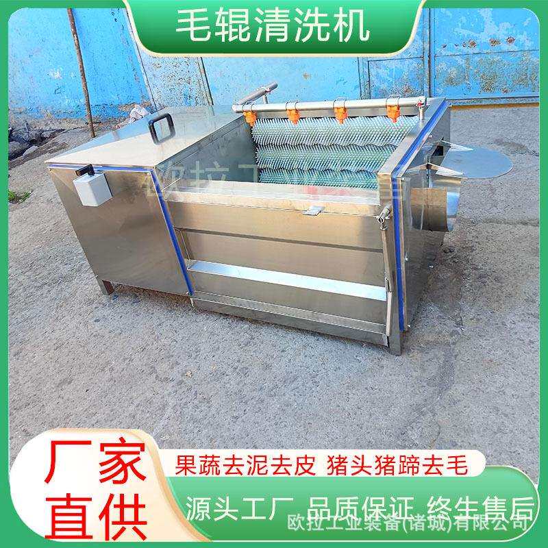 海产品扇贝牡蛎去泥设备山药牛蒡洗泥沙去皮全自动毛辊清洗机