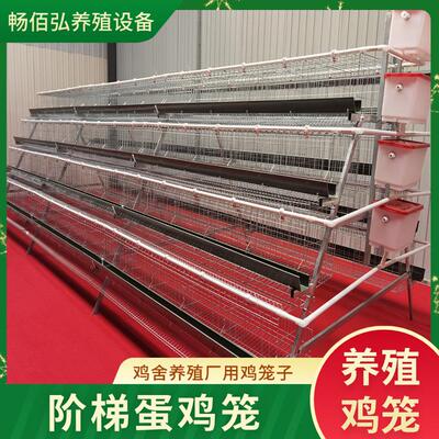 鸡舍三层四层阶梯层蛋鸡笼养殖蛋场多RUA立体殖笼鸡养养殖鸡笼