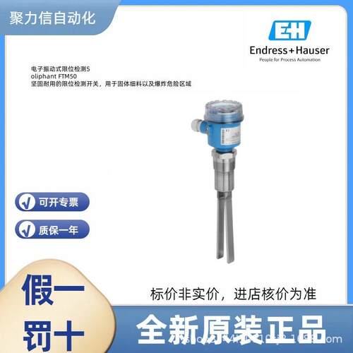 FTL31-AA4U2AAWBJ 恩德斯豪斯E+H 音叉液位开关 压力变送器 电极