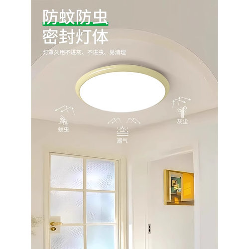 led过道走廊顶灯简约客厅吸顶灯