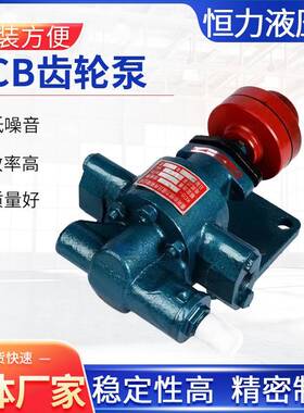 KCB齿轮油泵厂家供应润滑油输送齿轮泵卧式电动不锈钢齿轮泵
