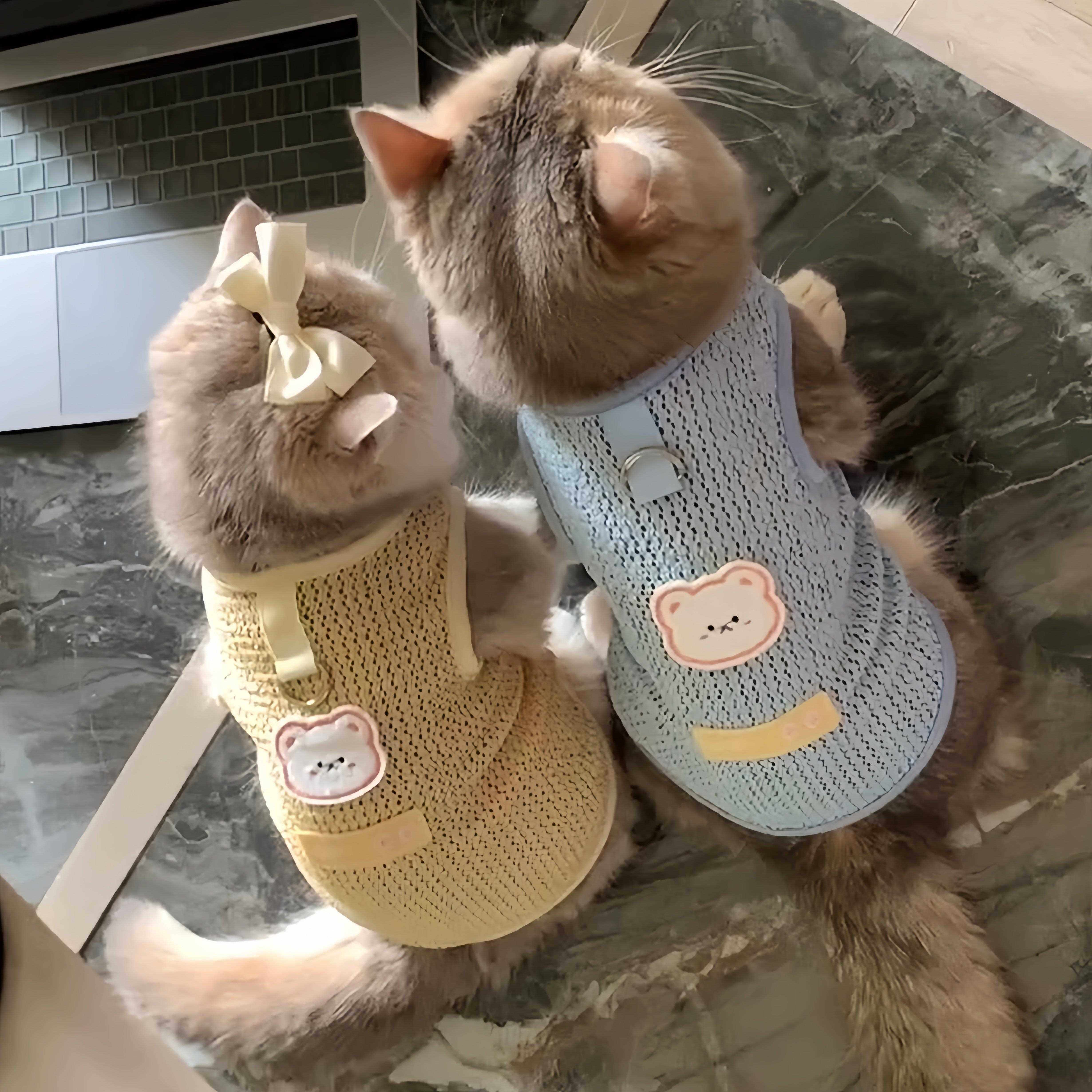猫咪衣服夏季薄款防掉毛背心夏天布偶英短透气网纱可牵引宠物服饰