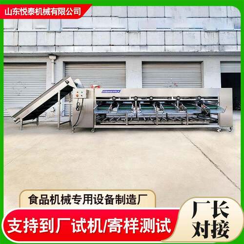 柑橘水果分选机橙子桔子全自动滚杠分选机设备沃柑类百香果筛分机