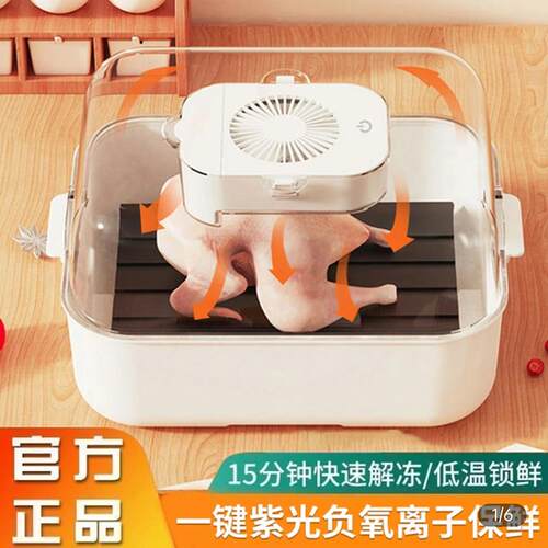 德国黑科技快速解冻家用多功能食物保鲜机全自动冻肉类化冻盘