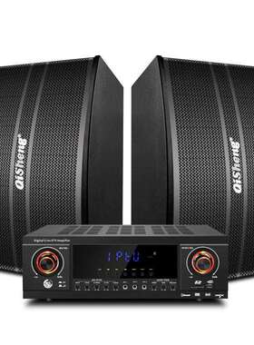 奇声（QISHENG）奇声k16家庭KTV音响套装全套大功率舞蹈室会议