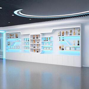 烤漆荣誉展柜证书奖杯美容院展厅化妆品公司展示柜产品样品鞋店