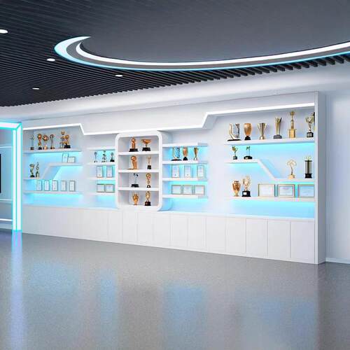 烤漆荣誉展柜证书奖杯美容院展厅化妆品公司展示柜产品样品鞋店