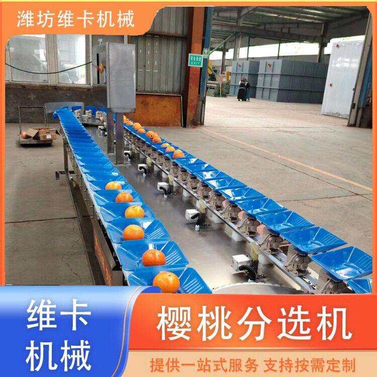 粑粑柑选果机小型水果称重分选机海鱼称重分拣机精度误差小