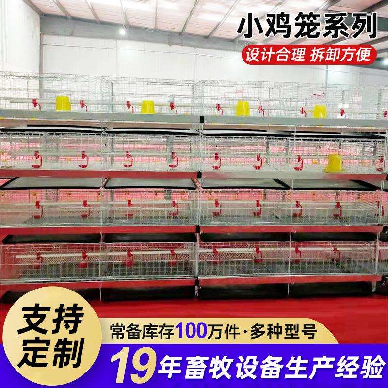 加密防逃雏鸡笼带接粪盘食槽镀锌防锈小鸡专用笼具多层养殖育雏笼
