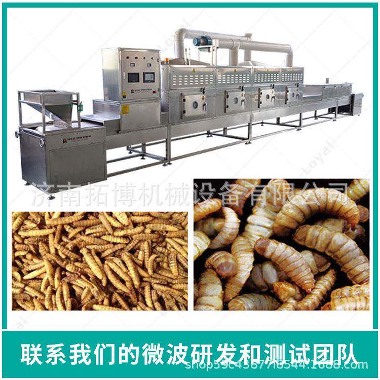 工业微波快速烘干干燥杀菌设备黑水虻蝇蛆黄粉虫蚂蚱干燥杀菌设备