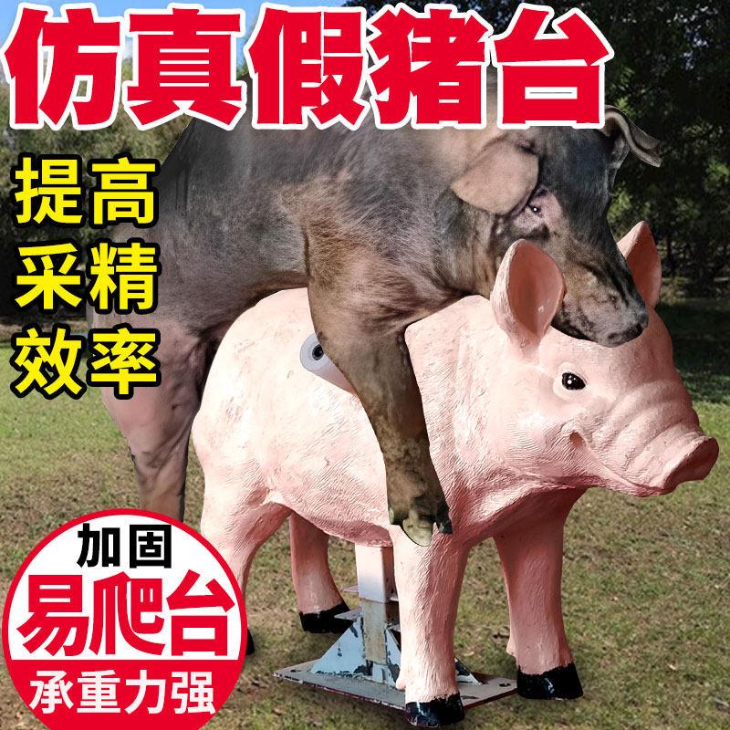 仿真假猪台猪用人工授精设备假猪模型养猪受精养殖假母台公猪采精