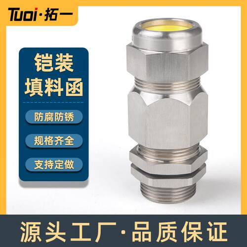 不锈钢304防爆铠装填料函BDM-VII电缆夹紧双密封接头DQM船用格兰