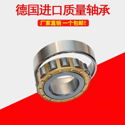 德国进口圆柱滚子轴承N405 406 407 408 409 410 411 412 413EM