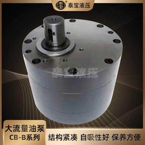 大流量油泵DXCB-B系列600~1000机床润滑泵低压齿轮油泵