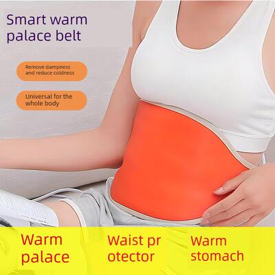 Electric Heating Pad Waist Heated Pad Warm Cushion Belt