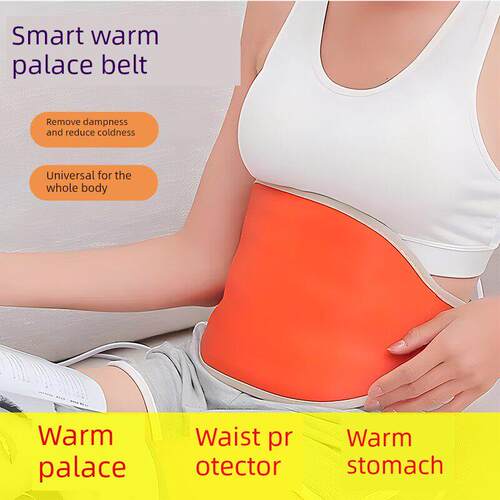Electric Heating Pad Waist Heated Pad Warm Cushion Belt