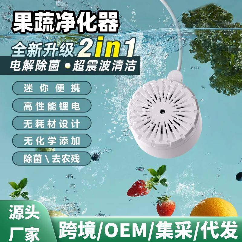 果蔬净化器家用厨房水果蔬菜肉类海鲜超震波电解除菌去农残洗菜机