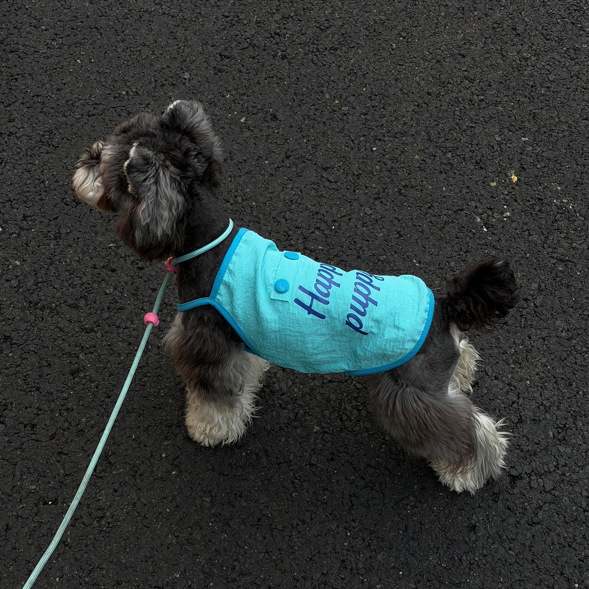宠物狗狗衣服夏季薄款小型犬柴犬背心猫咪吊带透气防掉毛2026新款