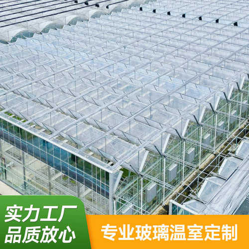 玻璃温室大棚暖棚西瓜蔬菜养殖农业观光可配遮阳网  智能骨架大棚