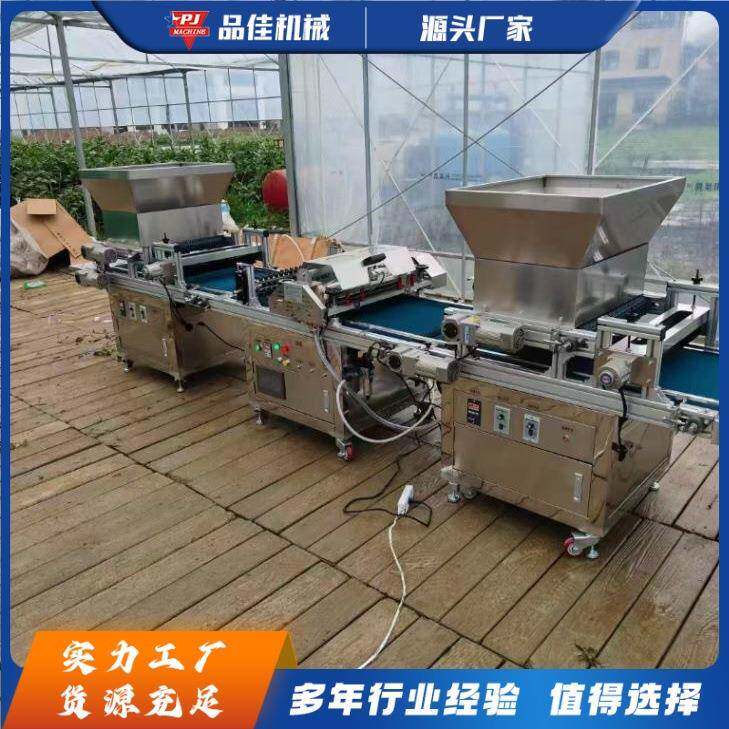 全自动穴盘播种机 花卉覆土精播机 蔬菜大棚种子压穴培育机厂家