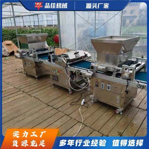 全自动穴盘播种机 花卉覆土精播机 蔬菜大棚种子压穴培育机厂家