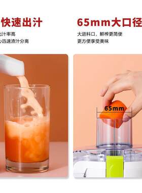 水果炸榨汁机家庭用多功能全自动渣汁分离无渣小型懒人蔬菜果汁机