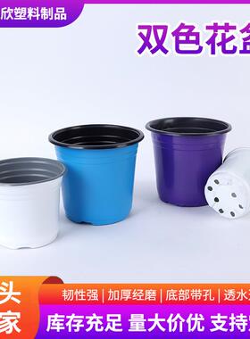 彩色双色盆白色绿色蓝色紫色双色花盆加厚育苗杯一次性塑料花盆