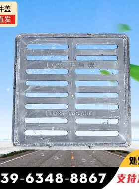 定制球墨铸铁雨水篦子100*60多规格可雨水篦子公园道路铸铁篦子