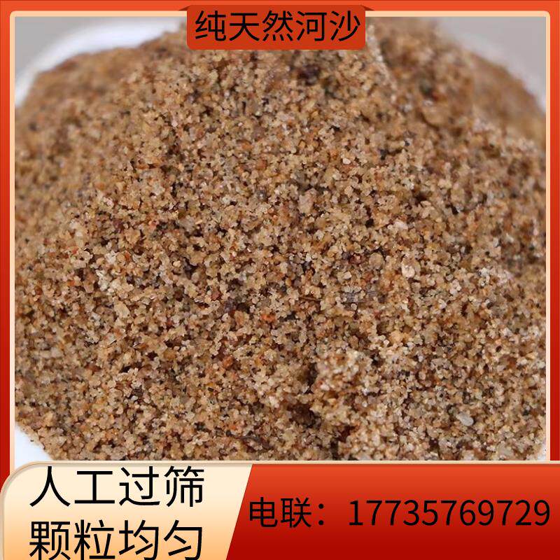 贵州河沙工程建筑装修水泥砂浆混凝土天然黄河沙子盖屋