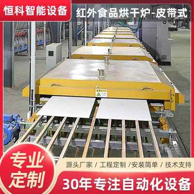 不锈钢自动化隧道炉输送式食品烘干炉大型烘干机皮带式输送设备