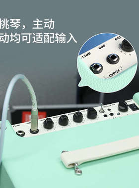 Foals贝司音箱FK30电贝斯练习演出音响内置蓝牙伴奏输入30瓦