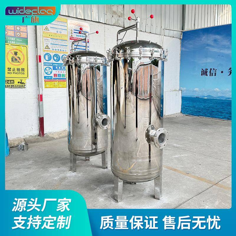 304精密保安过滤器卡箍法兰吊环不锈钢工业前置处理送滤芯压力表