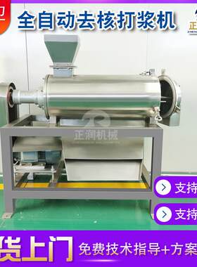 多功能葡萄去皮去籽榨汁机 软化木瓜去籽打浆机 血橙榨汁设备